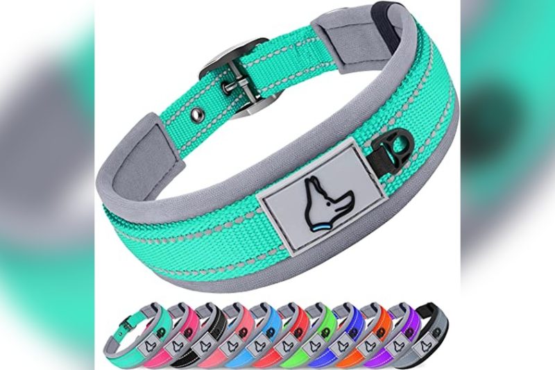 Best Metal Buckle Dog Collar: Top Picks for Durability & Comfort