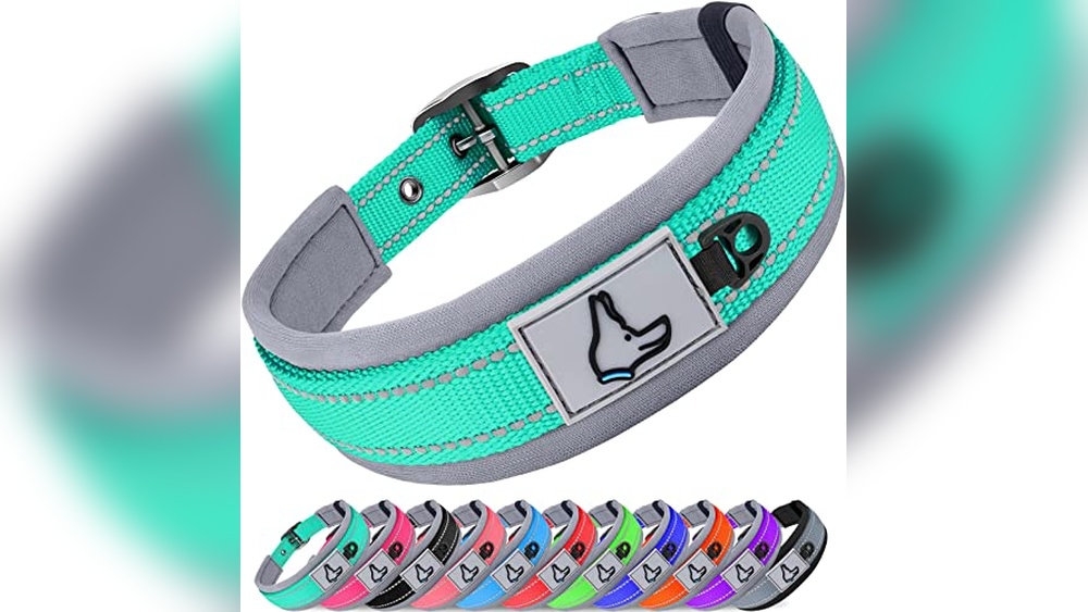 Best Metal Buckle Dog Collar