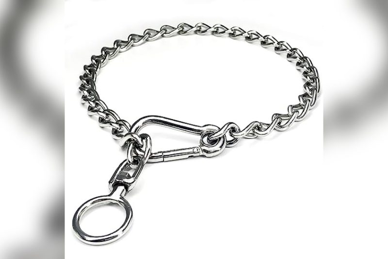 Best Metal Dog Collars: Top Durable Picks for Your Pet