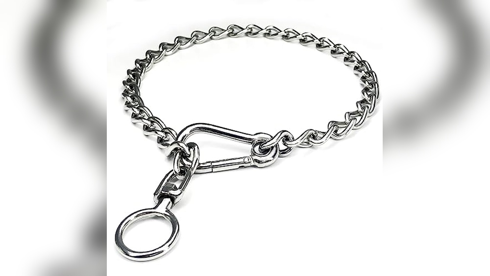 Best Metal Dog Collars