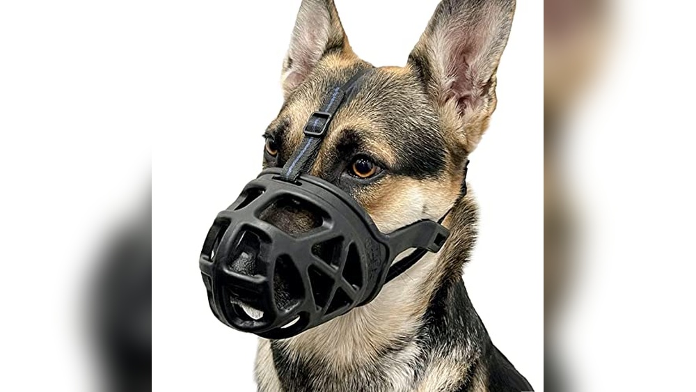 Best Muzzle For A Dog