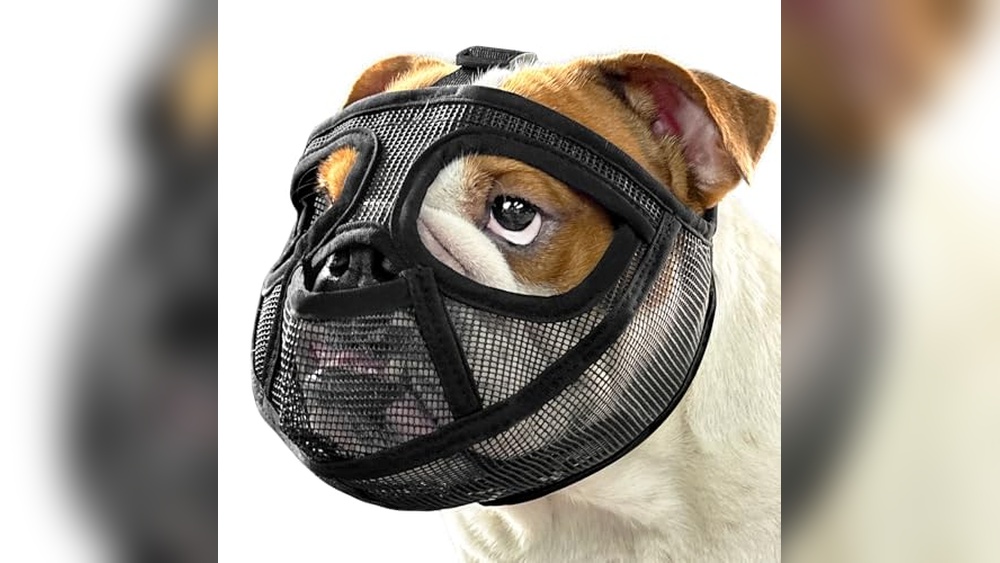Best Muzzle For English Bulldog