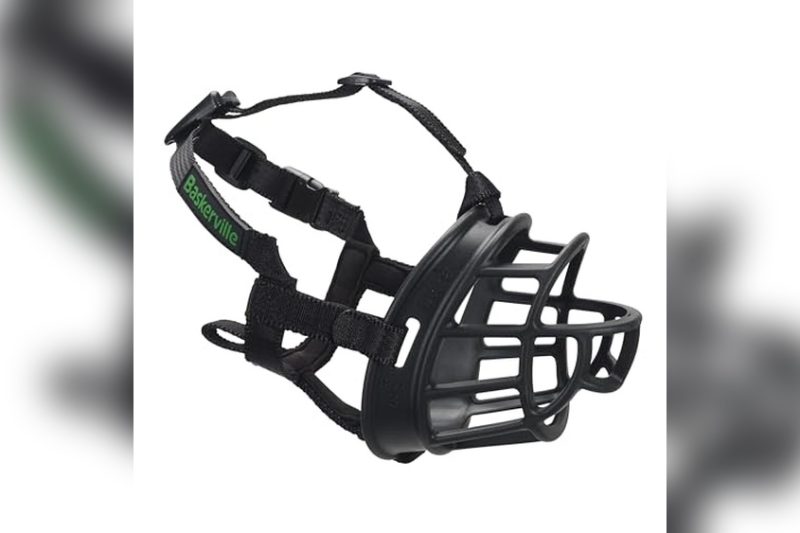 Best Muzzle For Small Dog: Top Safe & Comfortable Picks 2024