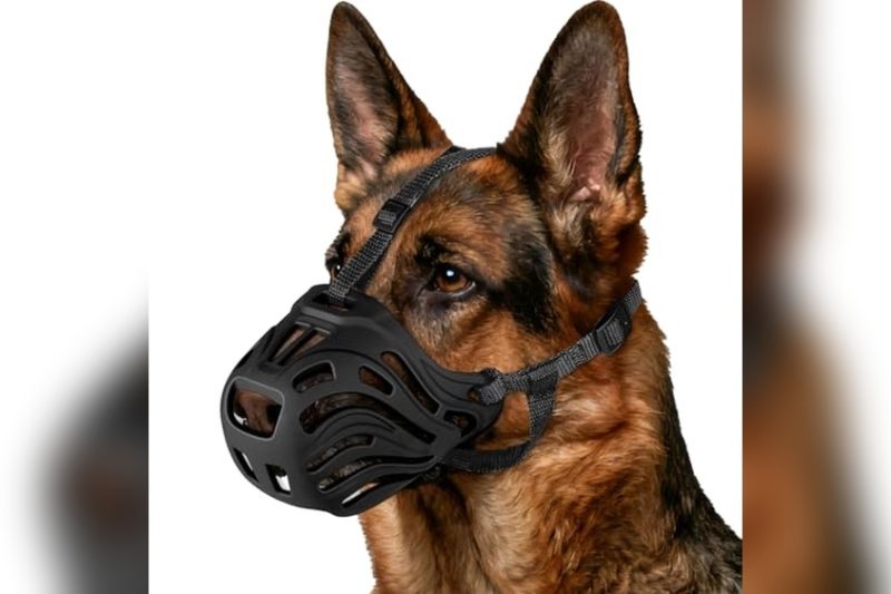 Best Muzzles For Aggressive Dogs: Top Picks & Honest Reviews