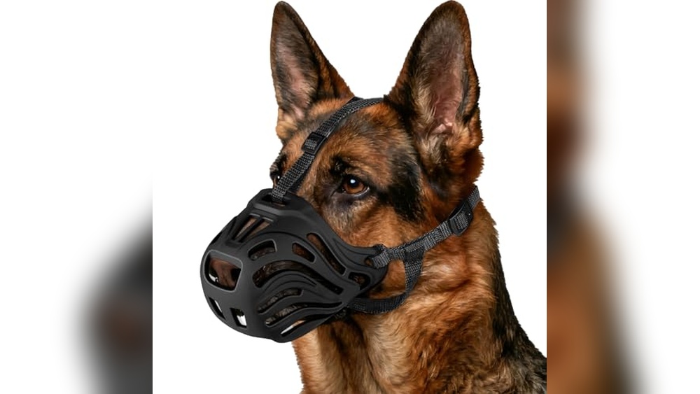 Best Muzzles For Aggressive Dogs