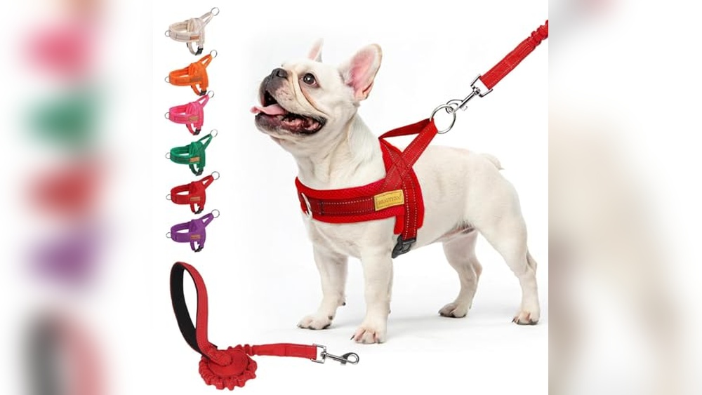 Best No Pull Harness For French Bulldog