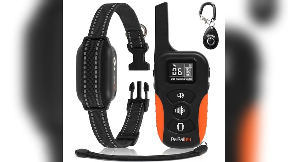 Best No Shock Dog Collar