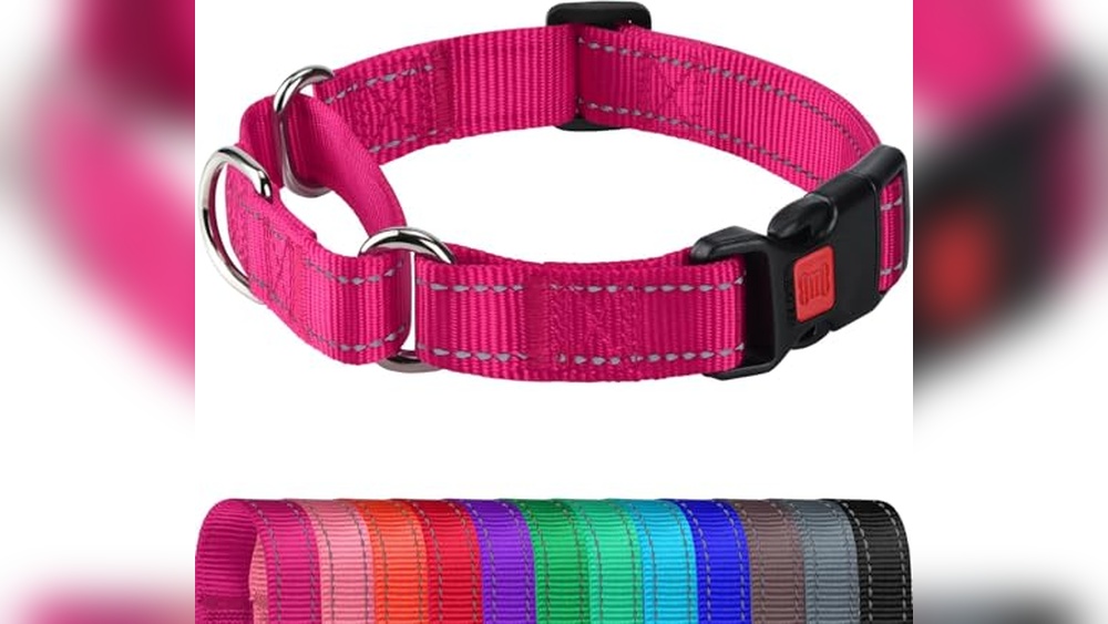 Best No Slip Dog Collar