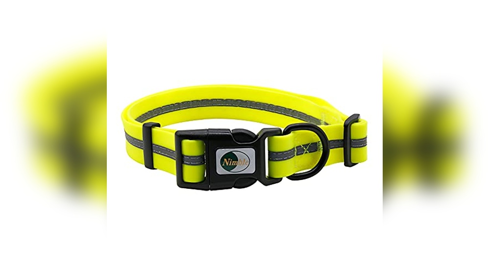 Best No Stink Dog Collars