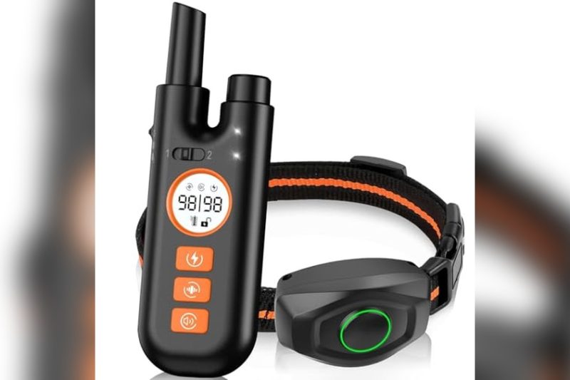 Best Non Shock Dog Training Collar: Top Picks for Gentle Training