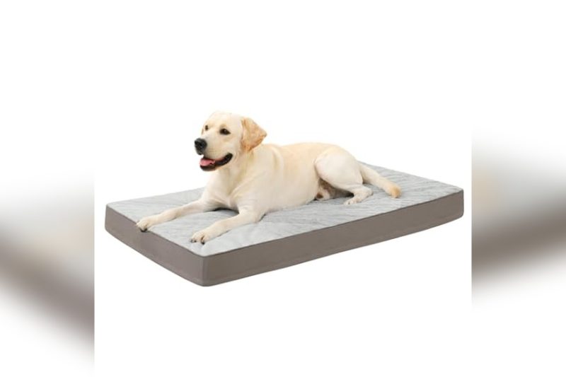 Best Orthopedic Dog Bed For Crate: Top Picks & Honest Review