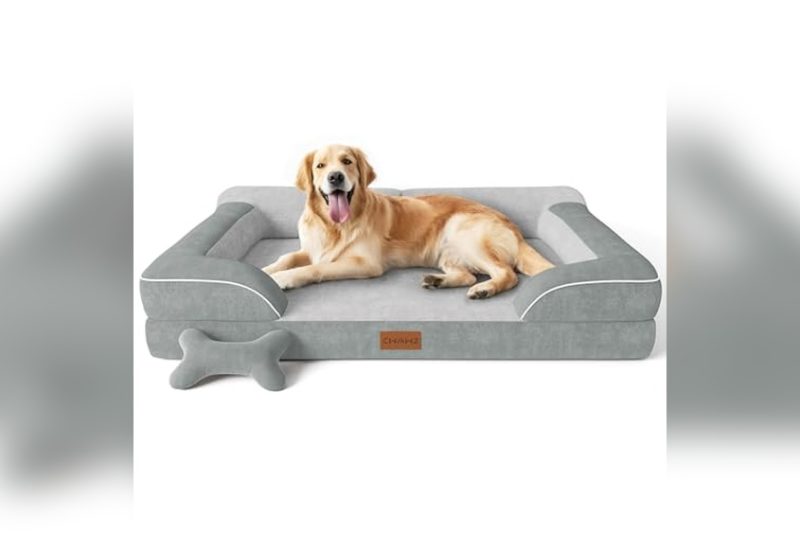 Best Orthopedic Dog Bed With Cooling Gel: Top Picks 2024
