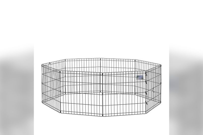 Best Outdoor Dog Gates: Top Picks for Safety & Durability