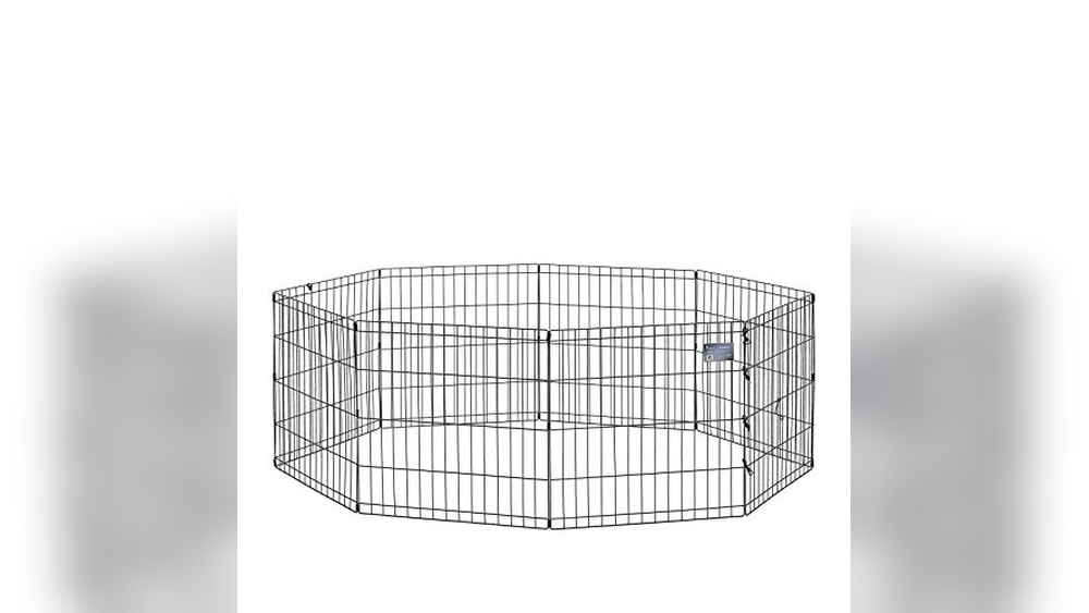 Best Outdoor Dog Gates