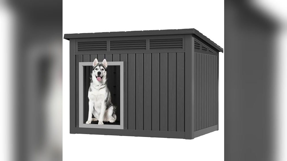 Best Outdoor Dog House For Hot And Cold Weather