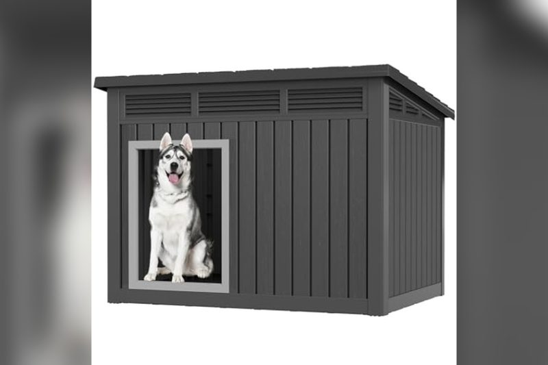 Best Outdoor Dog House for Hot and Cold Weather: Top Picks