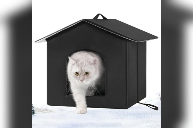 Best Outdoor Dog Houses: Top Picks for Comfort & Durability