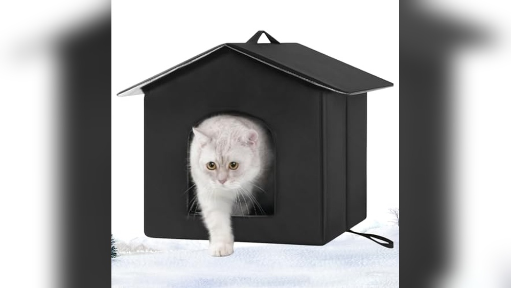 Best Outdoor Dog Houses