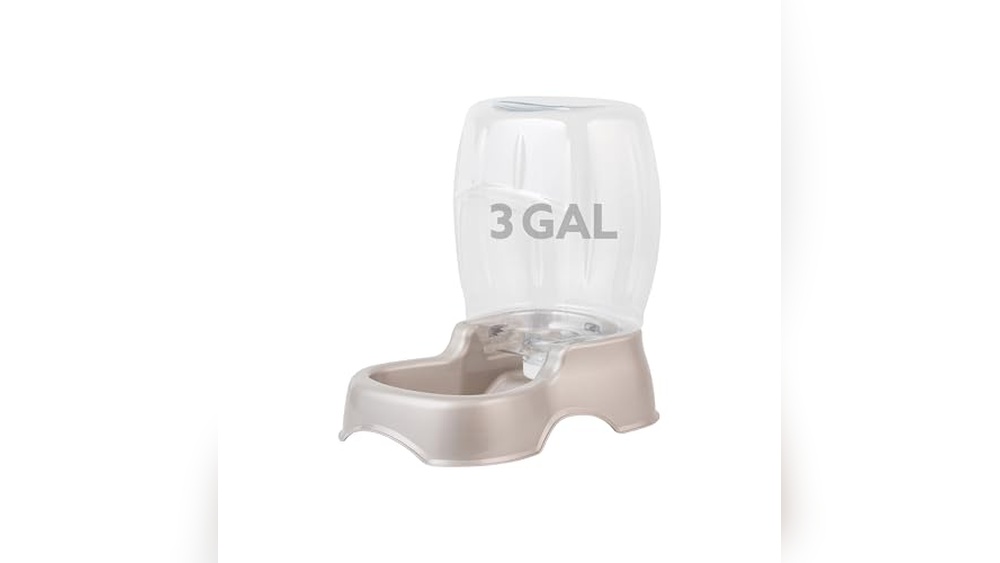 Best Outdoor Dog Water Dispenser
