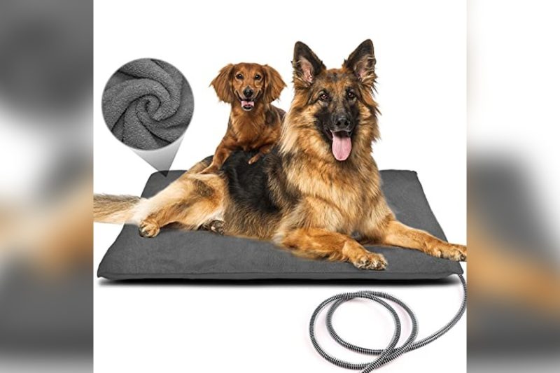 Best Outdoor Heated Dog Bed: Top Picks for Cozy Pets 2024