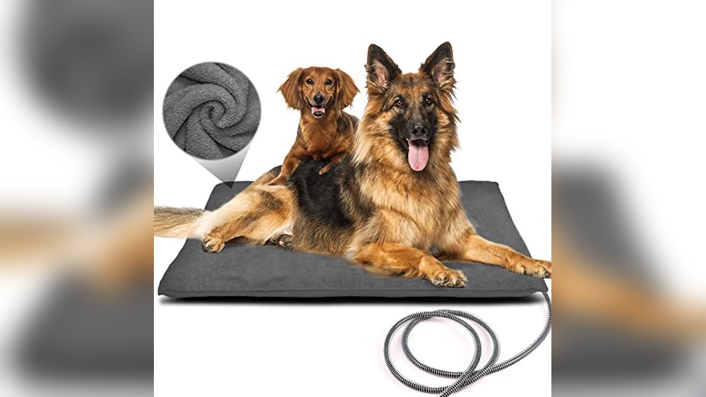 Best Outdoor Heated Dog Bed