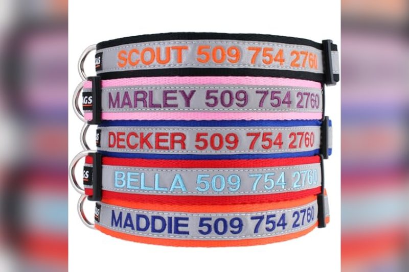 Best Personalized Reflective Dog Collars for Safety & Style