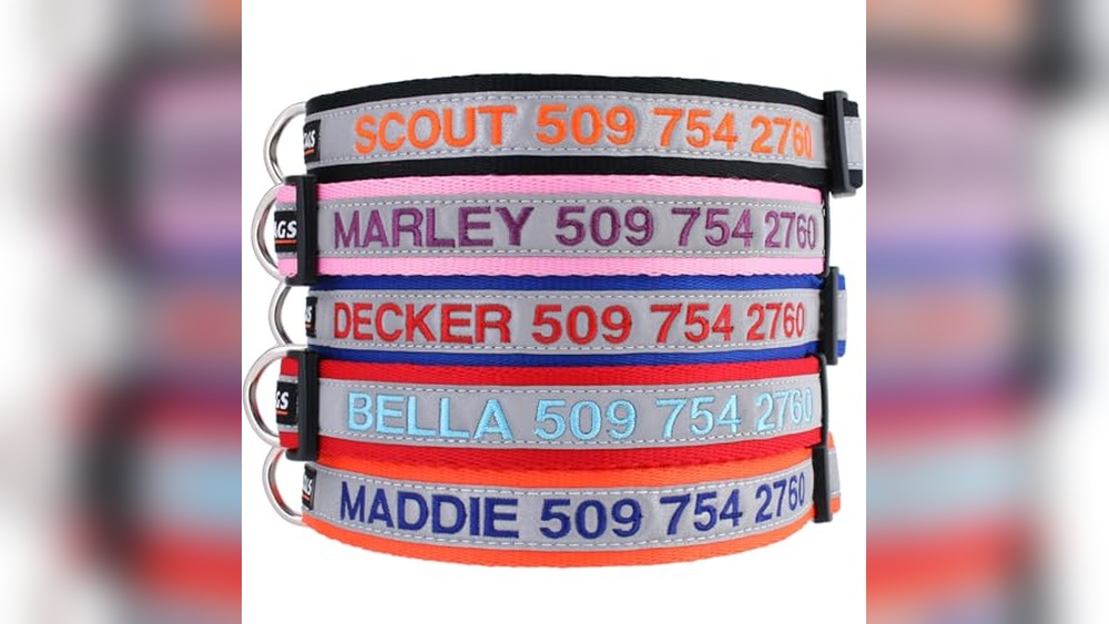 Best Personalized Reflective Dog Collars