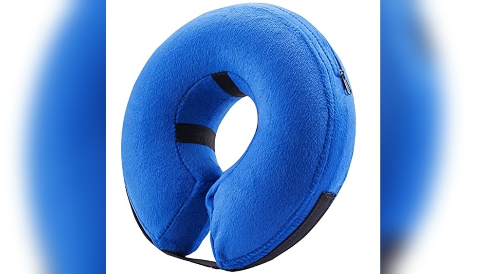 Best Post Surgery Dog Collar