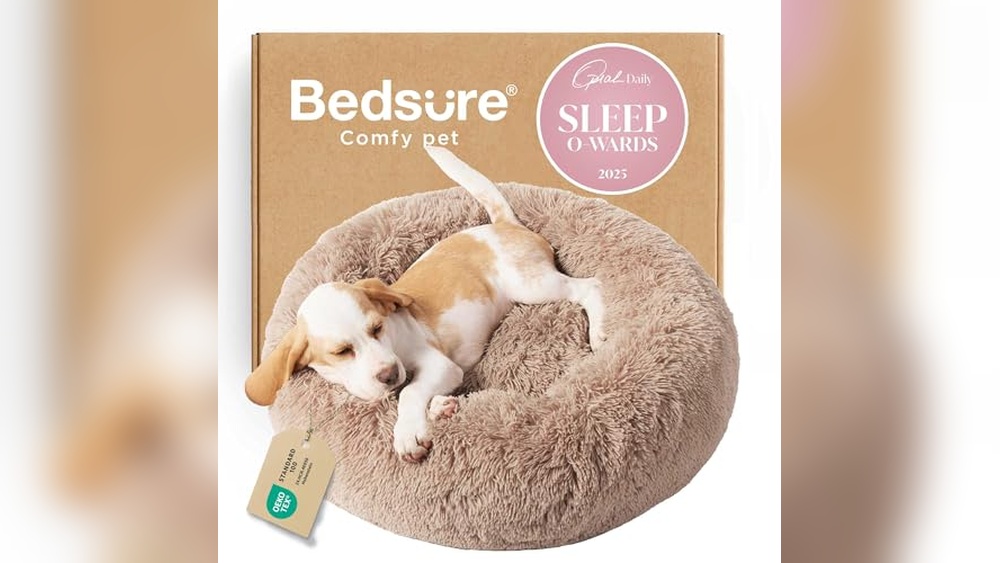 Best Puppy Dog Bed