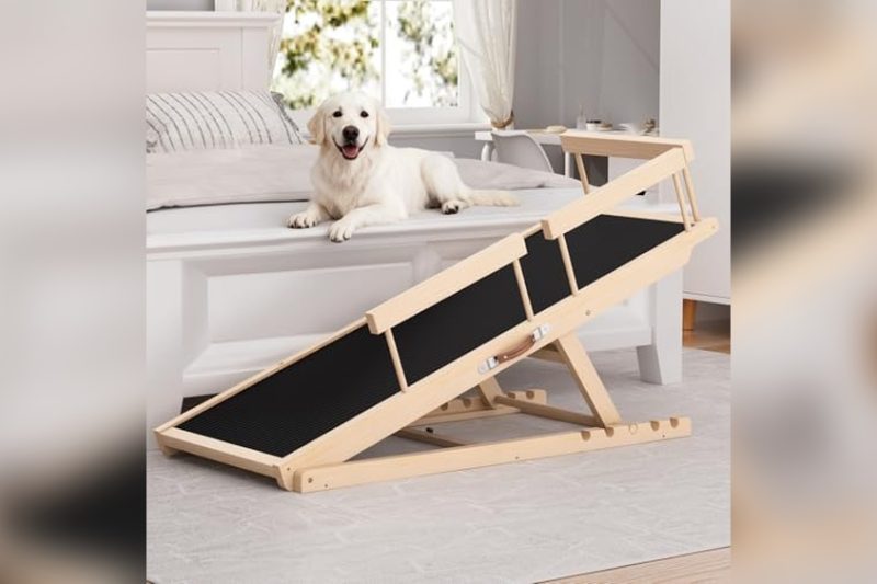 Best Ramp For Dogs To Get On Bed: Top Picks & Honest Reviews