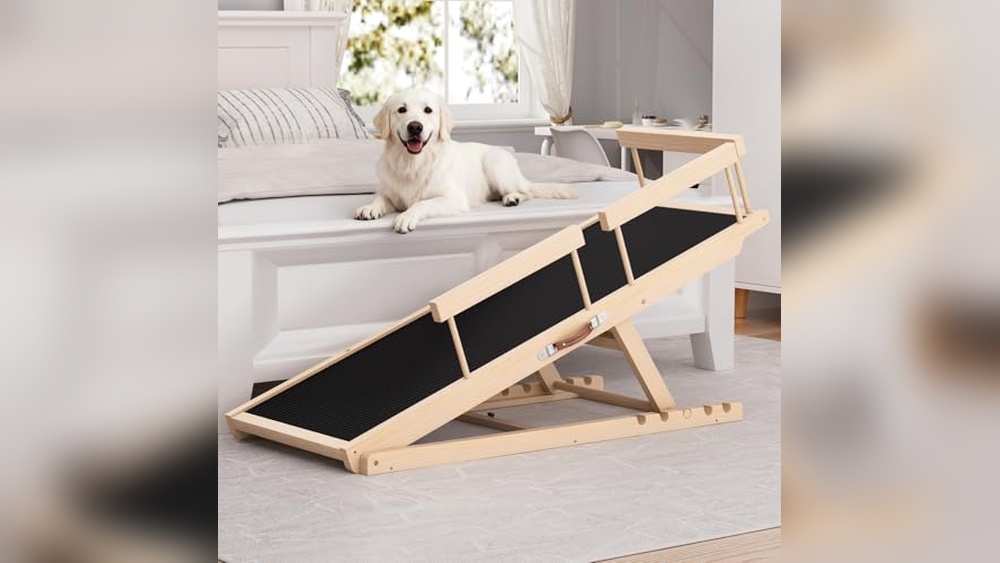Best Ramp For Dogs To Get On Bed