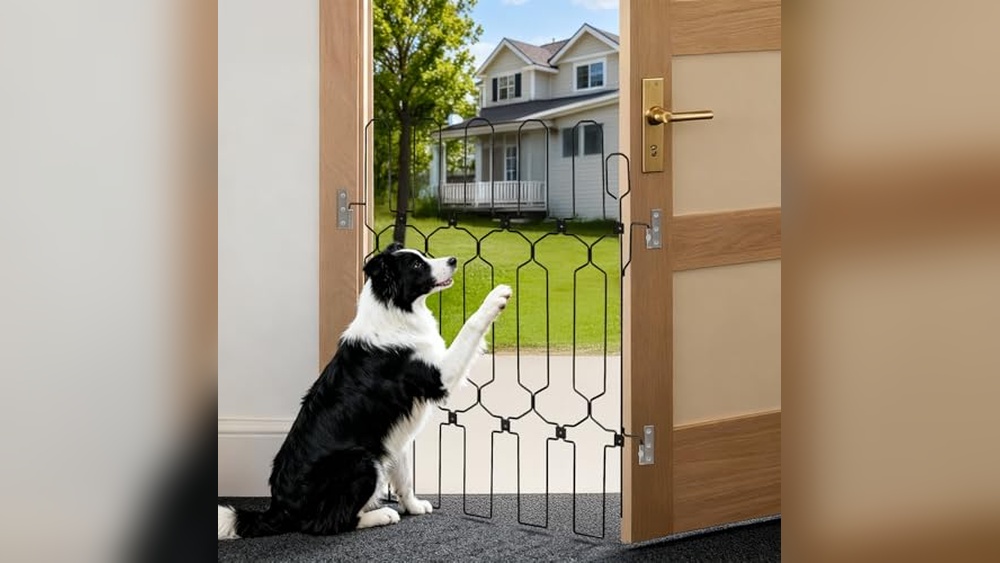 Best Retractable Dog Gate For Front Door