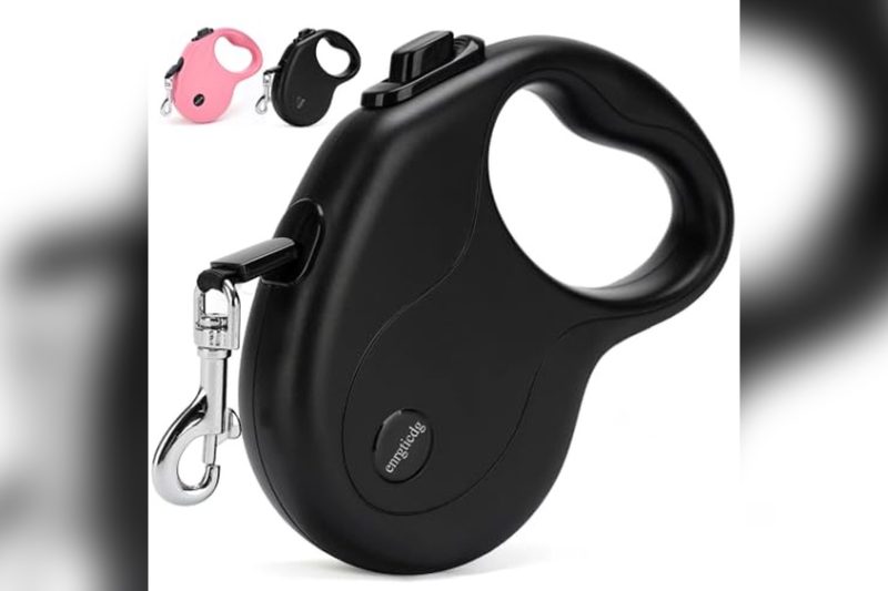 Best Retractable Leash For Small Dogs: Top Picks & Reviews