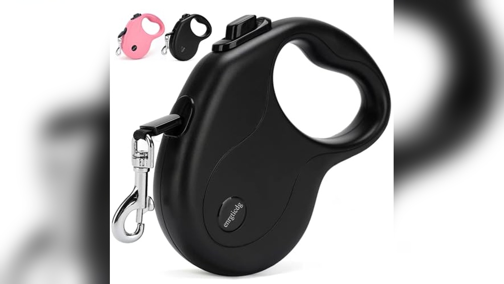 Best Retractable Leash For Small Dogs