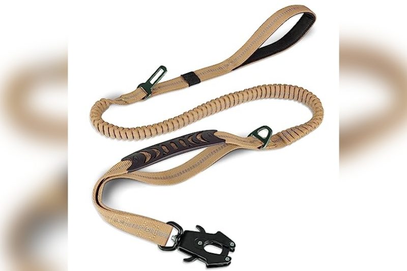 Best Shock Absorbing Dog Leash: Top Picks for Comfort & Control