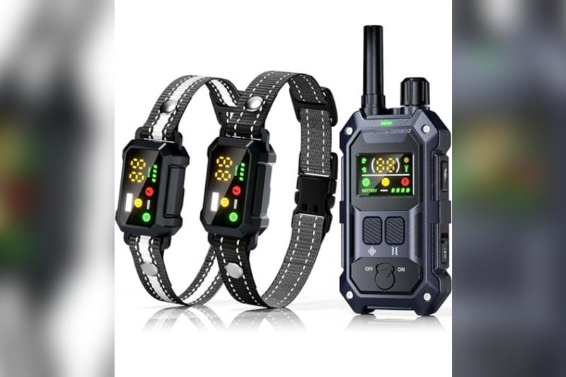 Best Shock Collar For Dogs With Thick Fur: Top Picks Reviewed