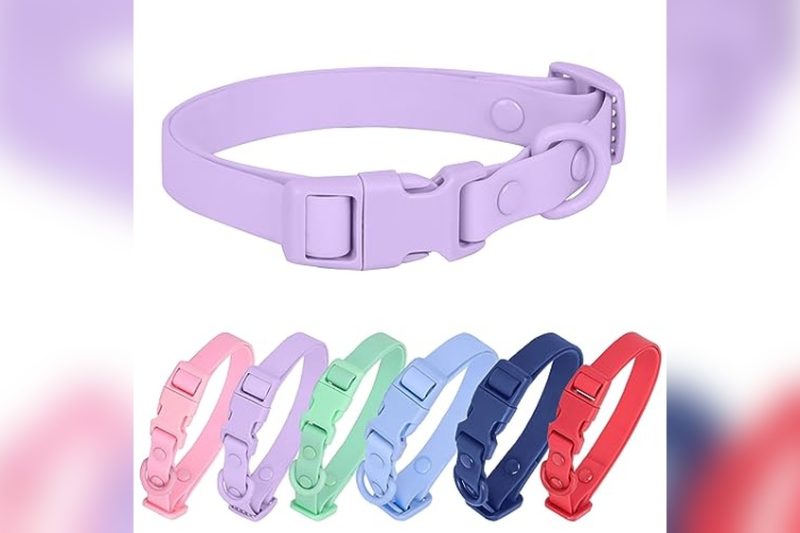 Best Silicone Dog Collar: Top Picks for Comfort & Durability
