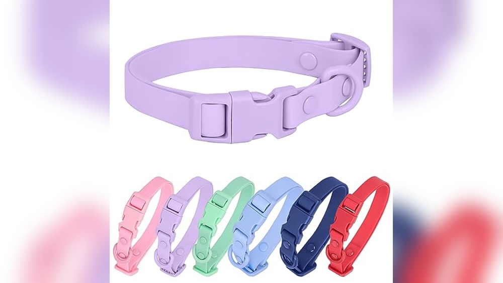 Best Silicone Dog Collar