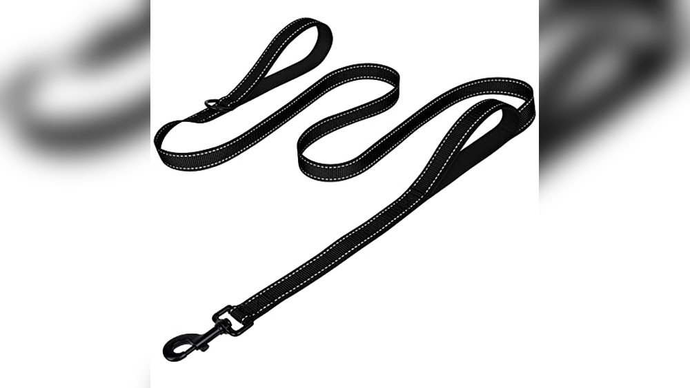 Best Solution For Dog Pulling On Leash