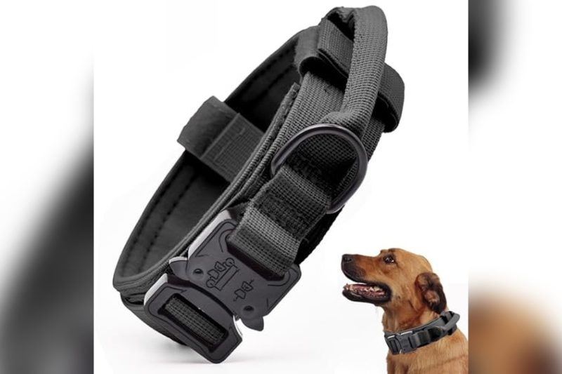 Best Tactical Dog Collars: Top Durable Picks for Every Pup