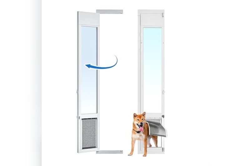Best Temporary Dog Door For Swinging Door: Top Picks 2024