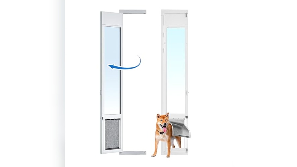 Best Temporary Dog Door For Swinging Door