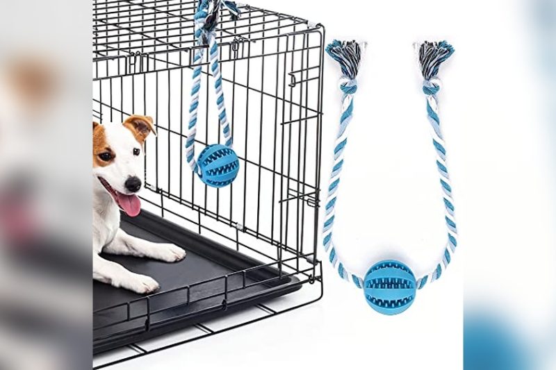 Best Toys For Dogs In Crate: Top Picks for Happy Pets