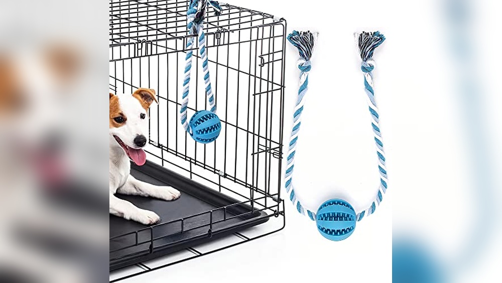 Best Toys For Dogs In Crate
