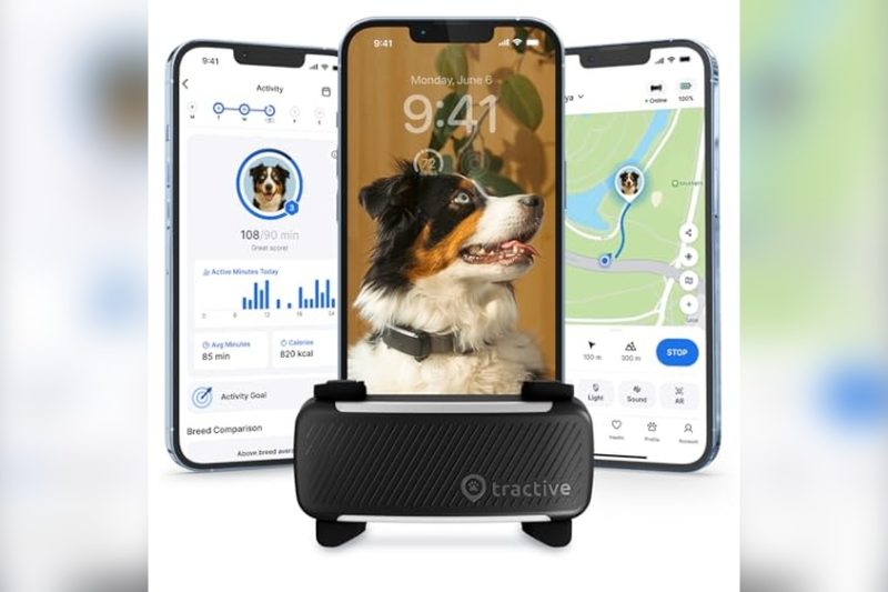 Best Tracker For Dog Collar: Top Reliable Picks Reviewed 2024