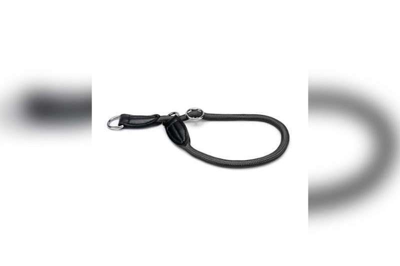 Best Training Collar For French Bulldog: Top Picks & Reviews