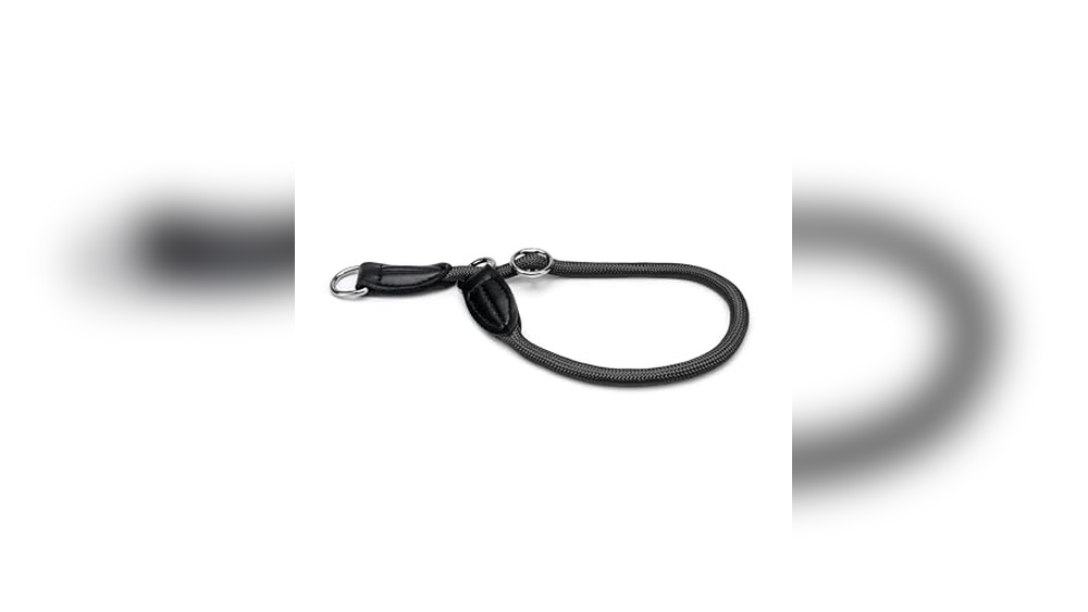 Best Training Collar For French Bulldog