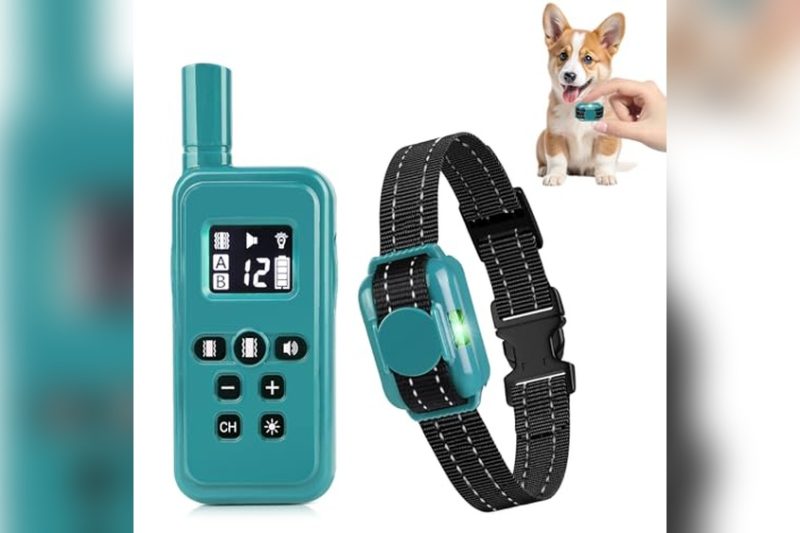 Best Training Collars For Small Dogs: Top Picks & Honest Review