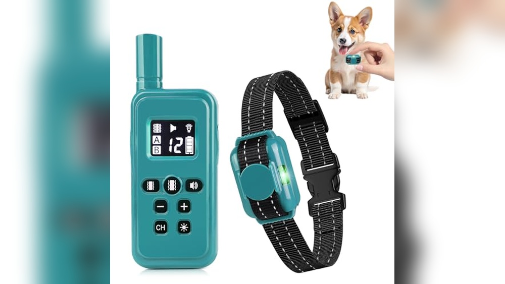 Best Training Collars For Small Dogs