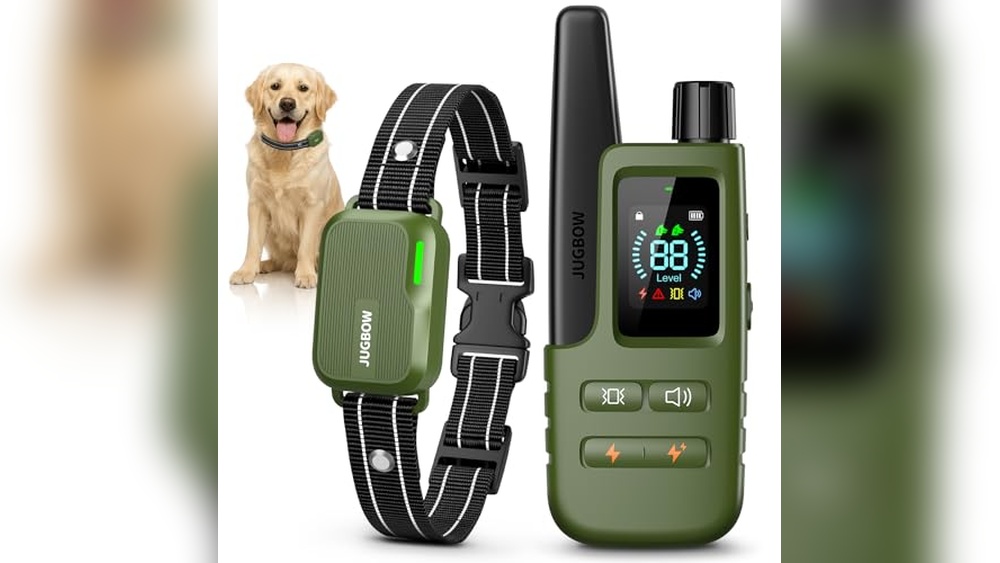 Best Training Dog Collars
